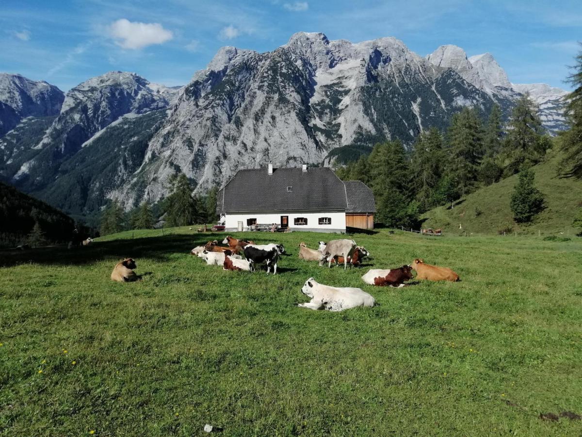 Gausrab Villa Hinterstoder Exterior photo